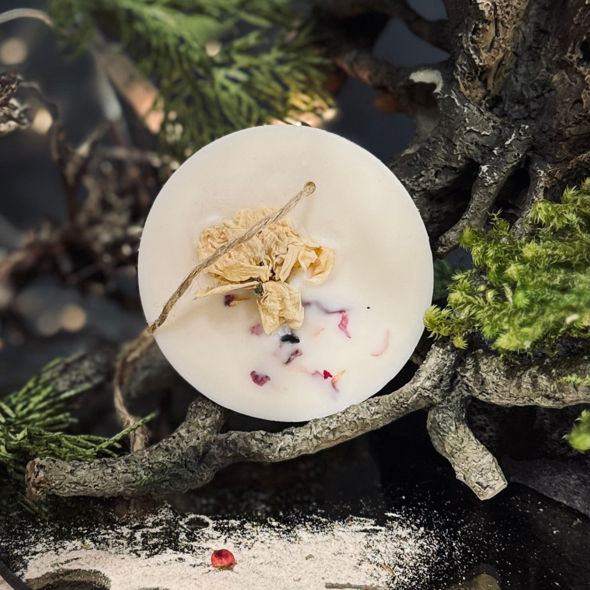 Sojas vaska telpu aromatizētāji RIPA