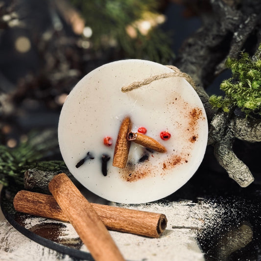 Sojas vaska aromatizētājs ZIEMASSVĒTKU RIPA