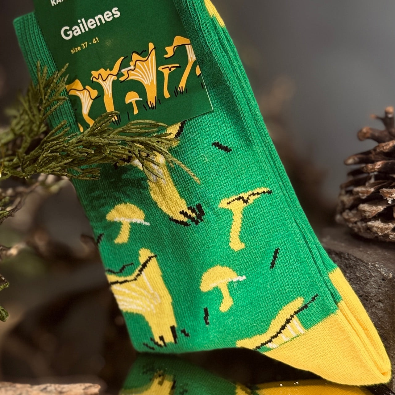 Kokvilnas zeķes MEŽS