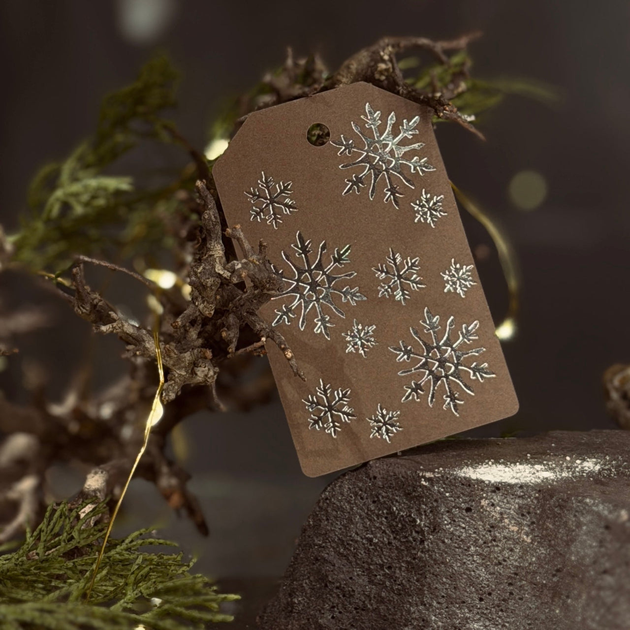 Dāvanu zīmītes ZIEMA