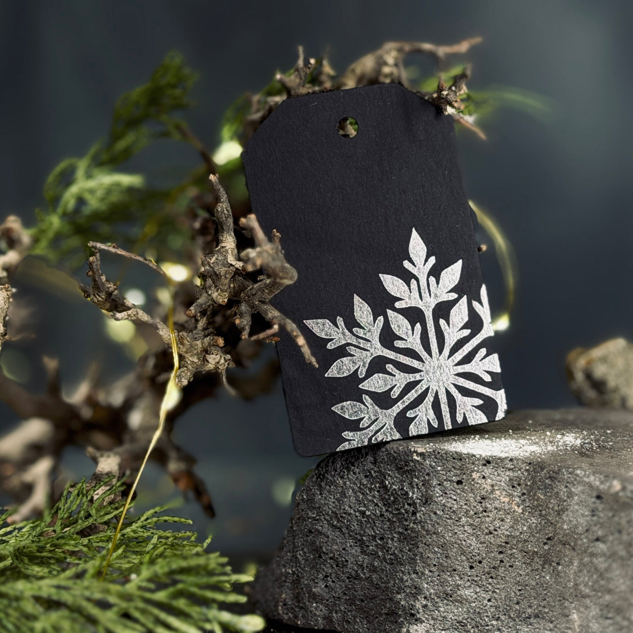 Dāvanu zīmītes ZIEMA