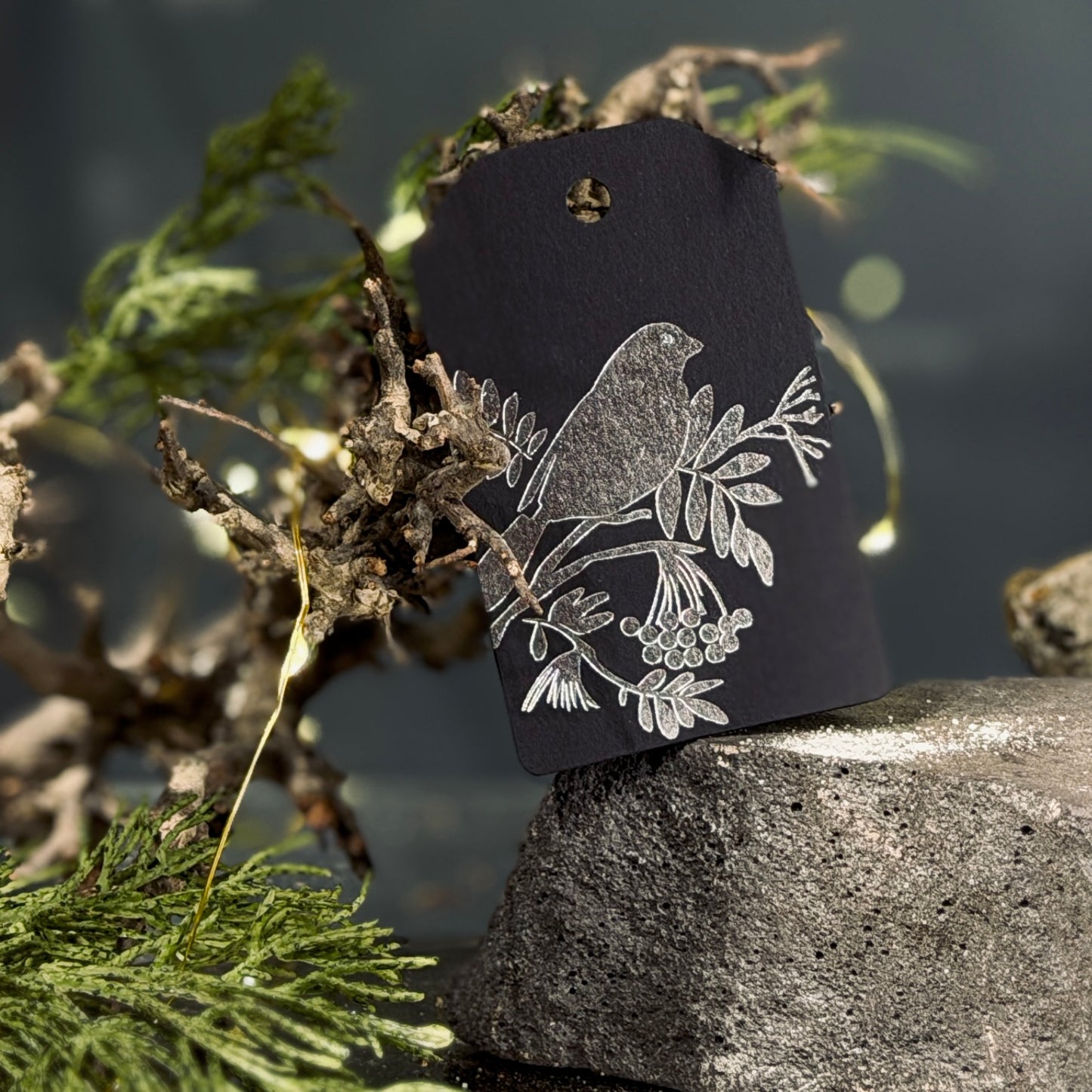 Dāvanu zīmītes ZIEMA