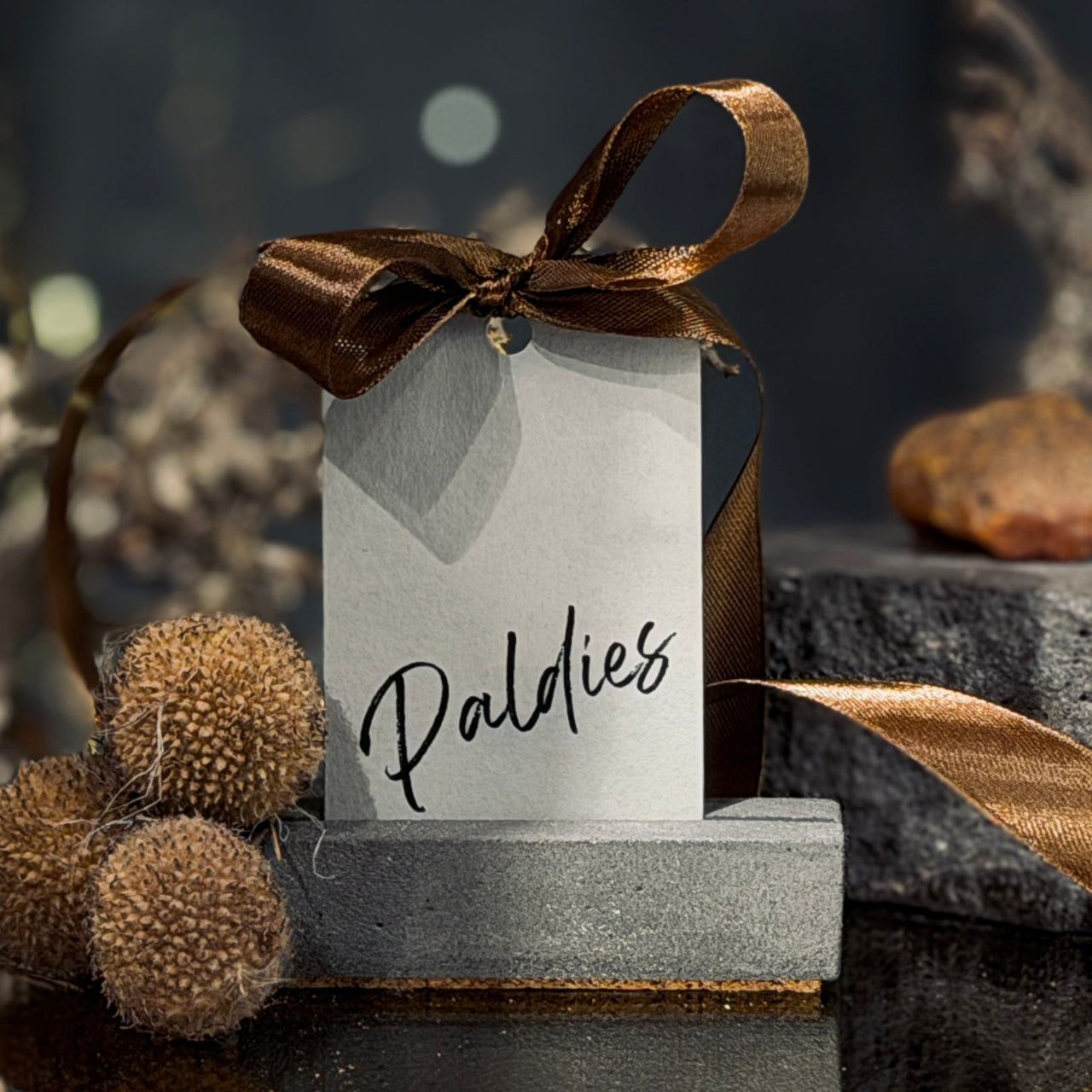 Dāvanu zīmīte PATEICĪBA