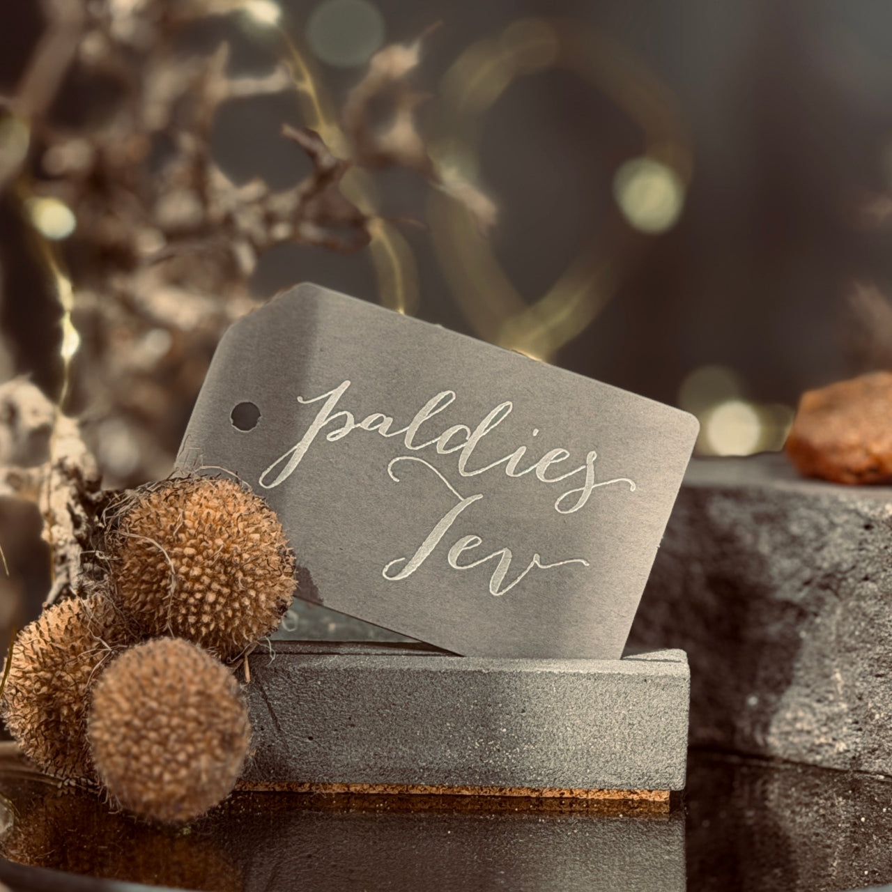 Dāvanu zīmīte PATEICĪBA