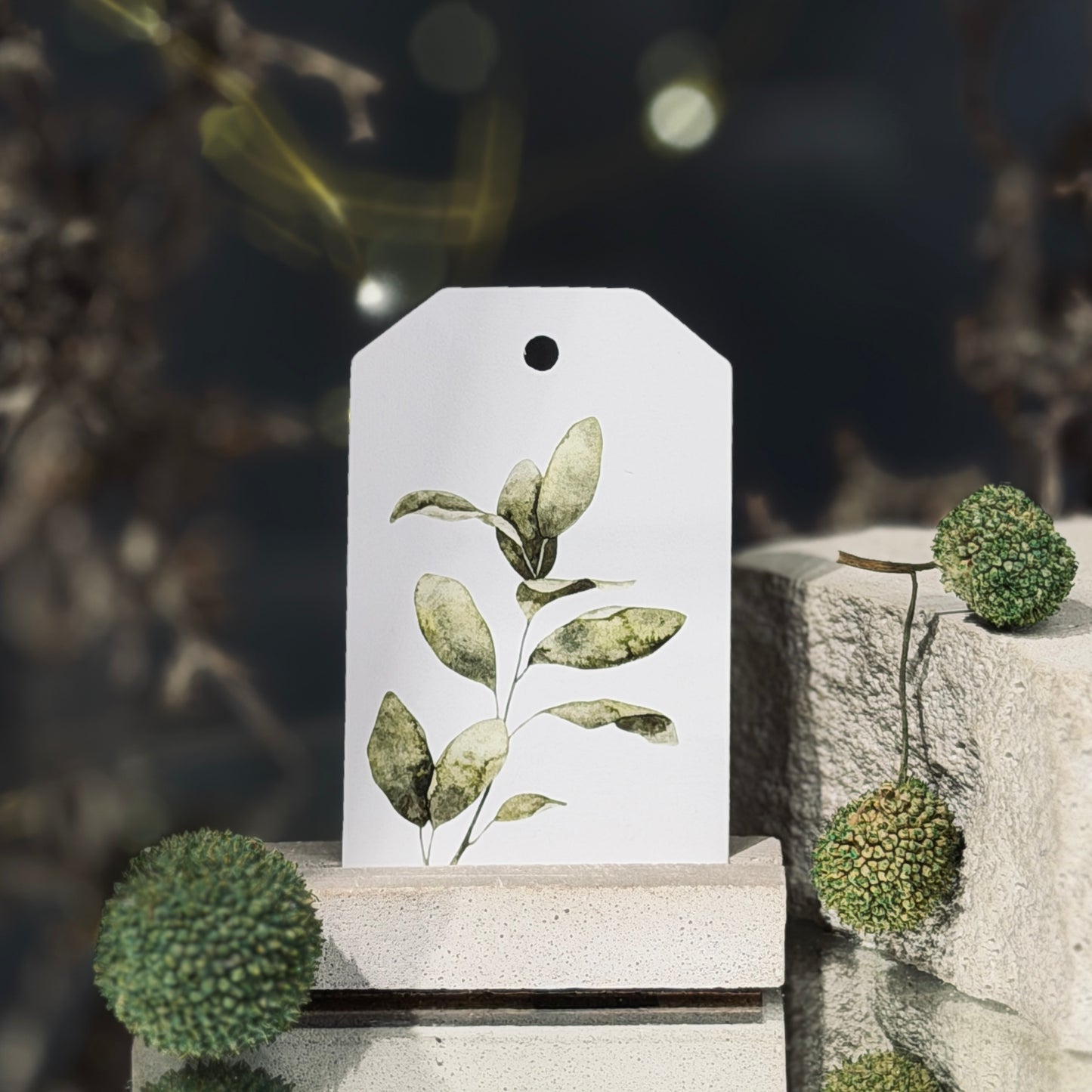 Dāvanu zīmītes ZIEDOŠAIS MOTĪVS