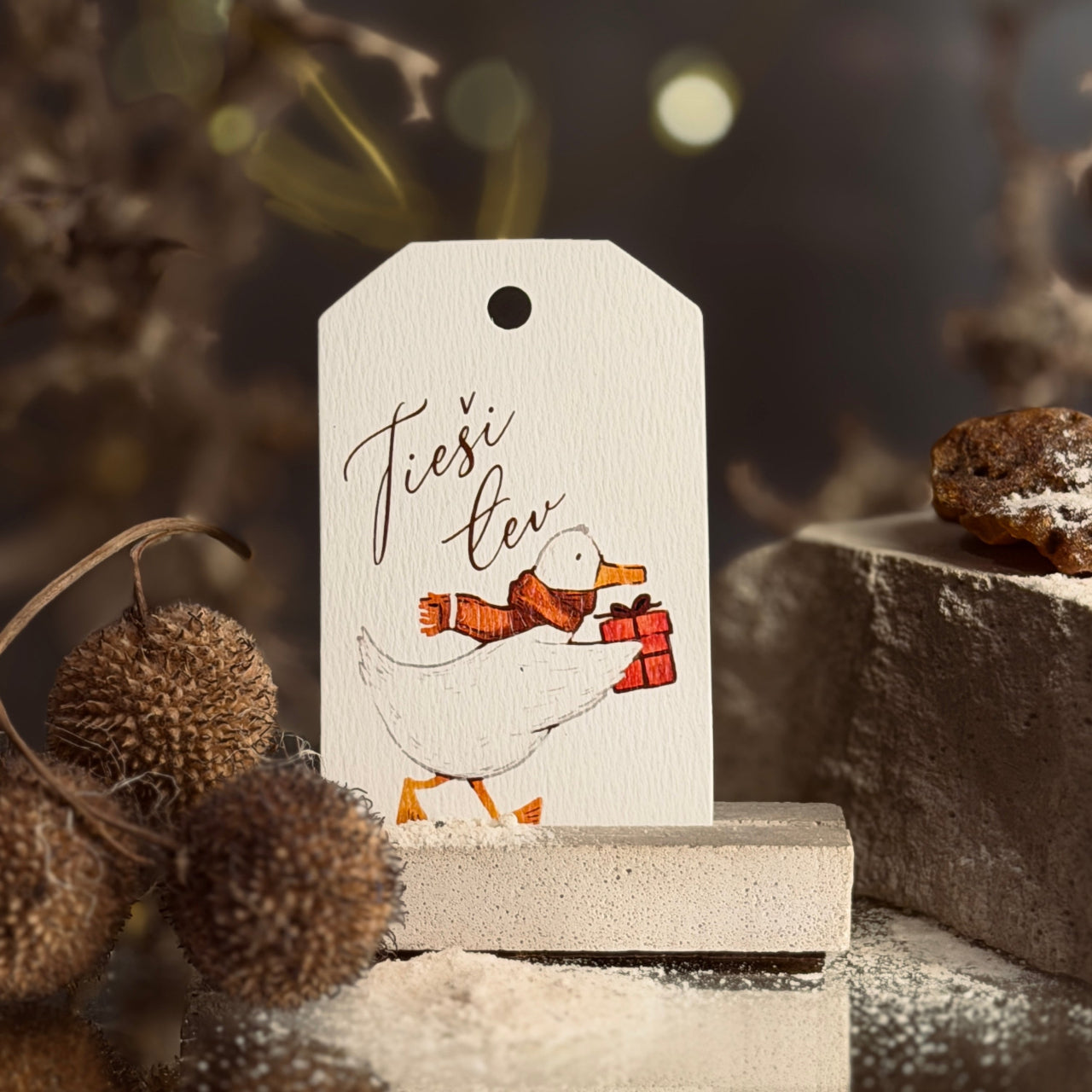 Dāvanu zīmītes ZIEMASSVĒTKI