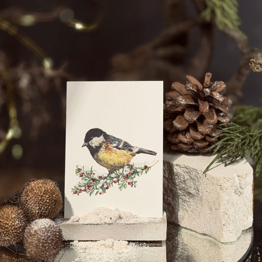 ZIEMAS mazās apsveikuma kartītes