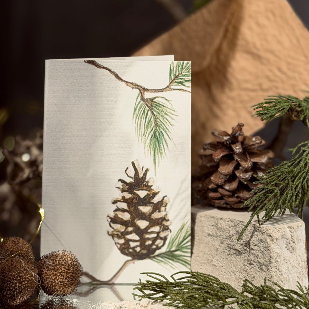 ZIEMAS apsveikuma kartītes