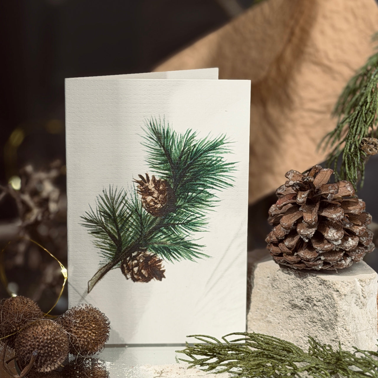 ZIEMAS apsveikuma kartītes