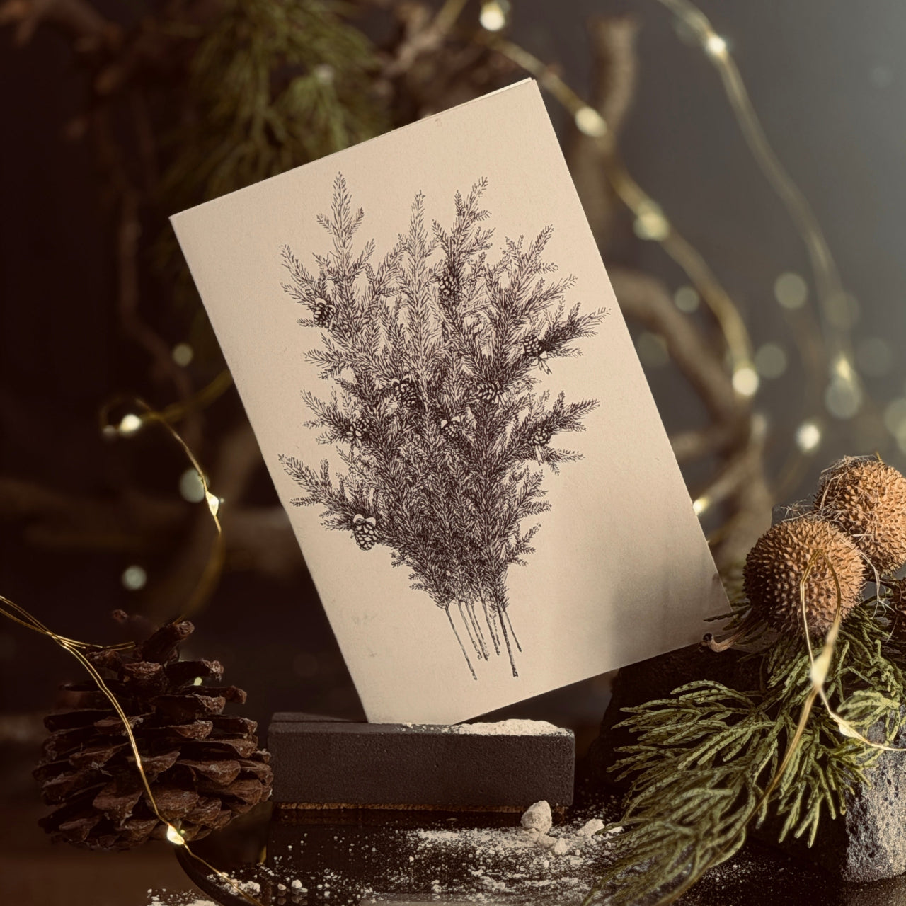 ZIEMAS apsveikuma kartītes