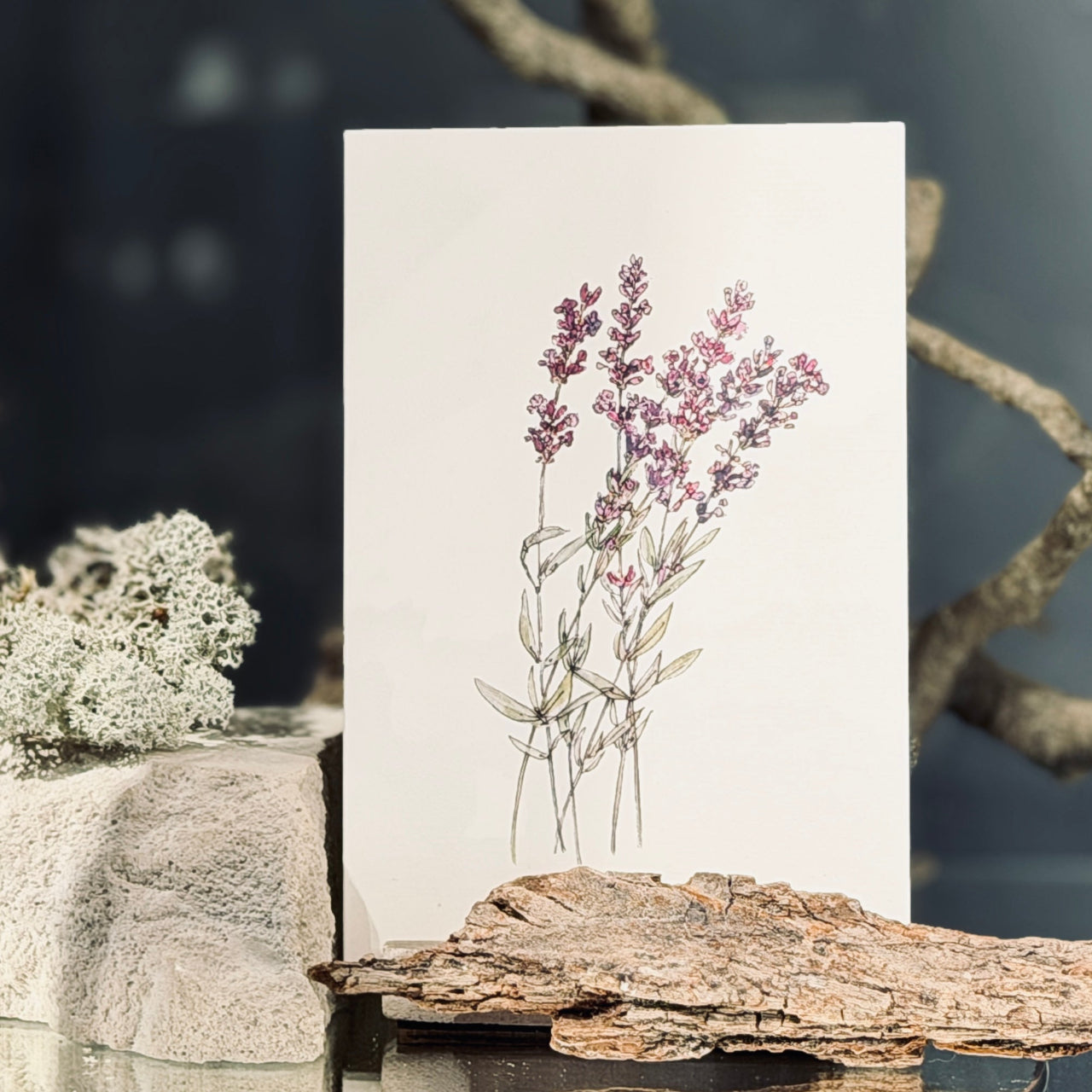 Apsveikuma kartītes ZIEDĒŠANA, atveramas