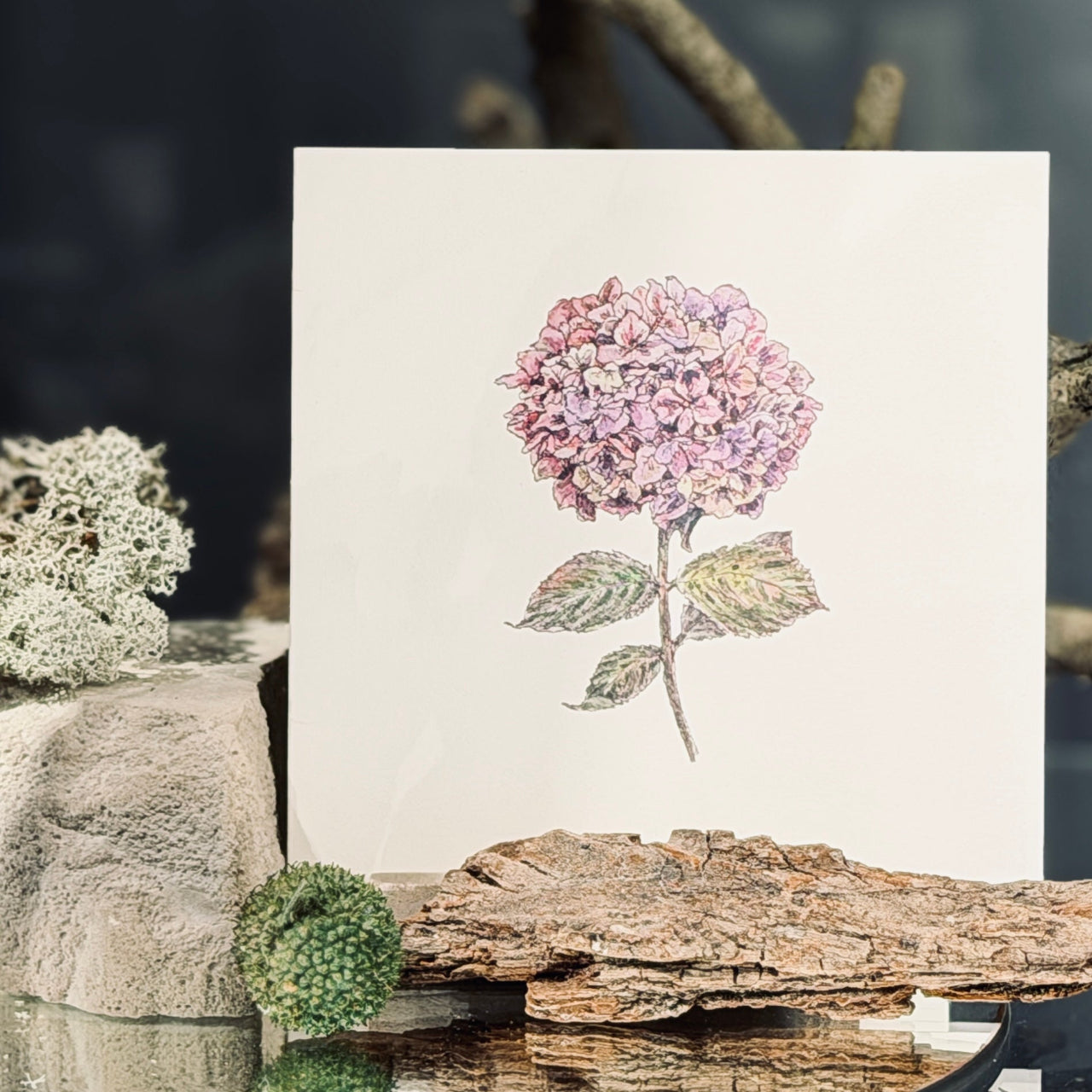 Apsveikuma kartītes ZIEDĒŠANA, atveramas