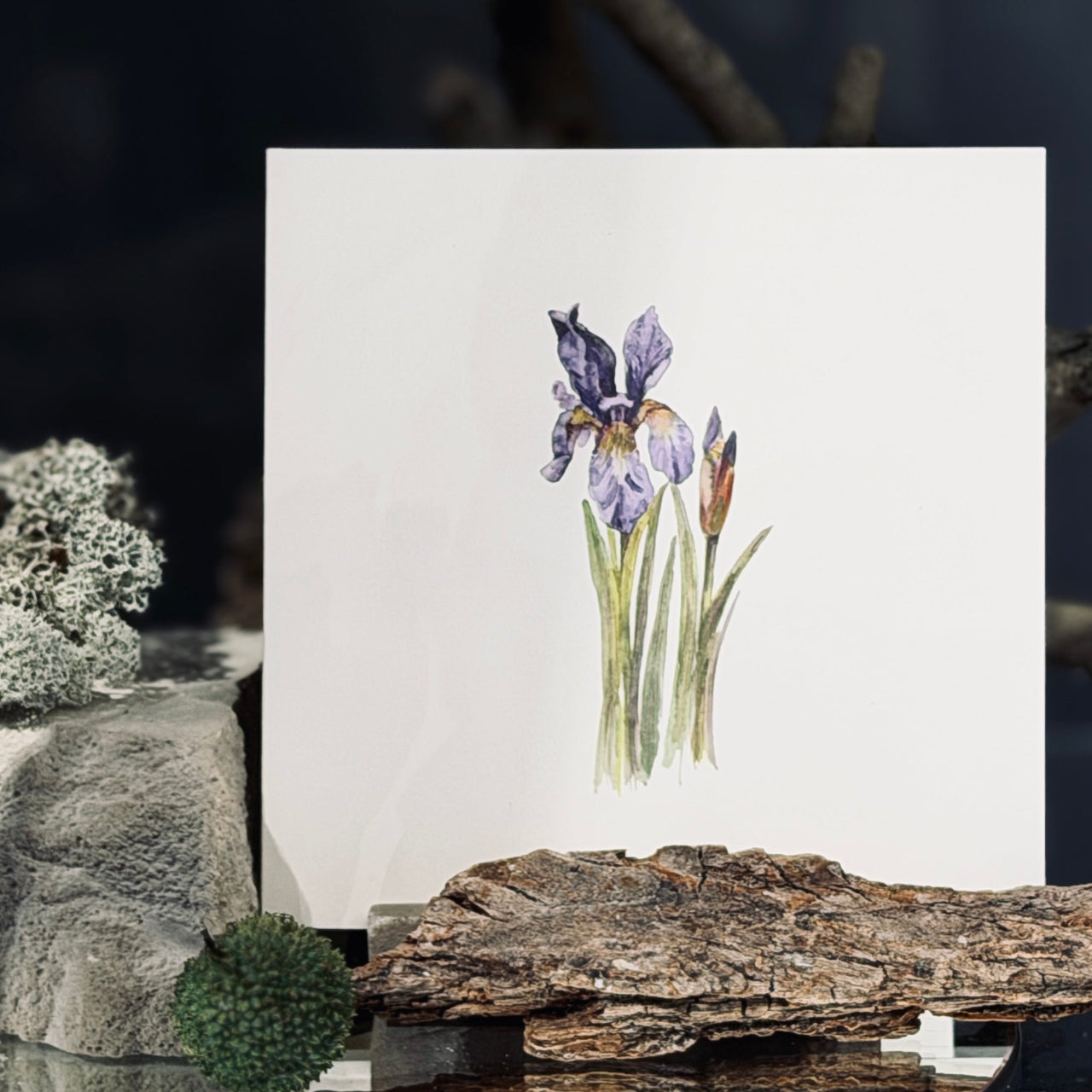 Apsveikuma kartītes ZIEDĒŠANA, atveramas