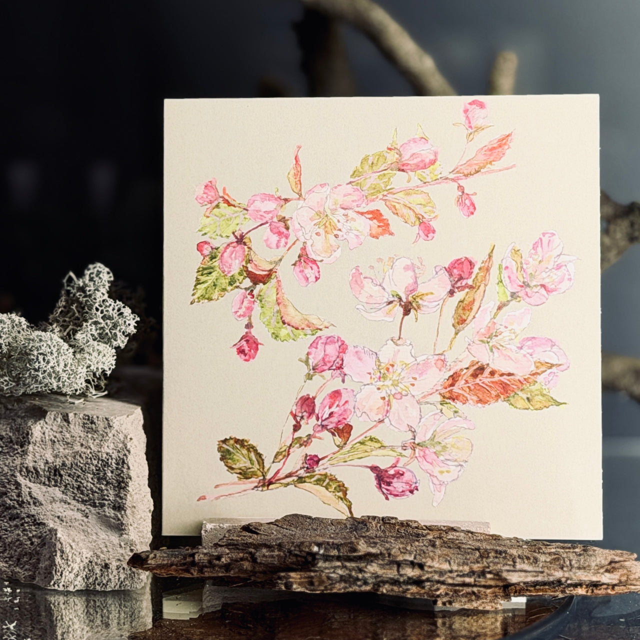 Apsveikuma kartītes ZIEDĒŠANA, atveramas