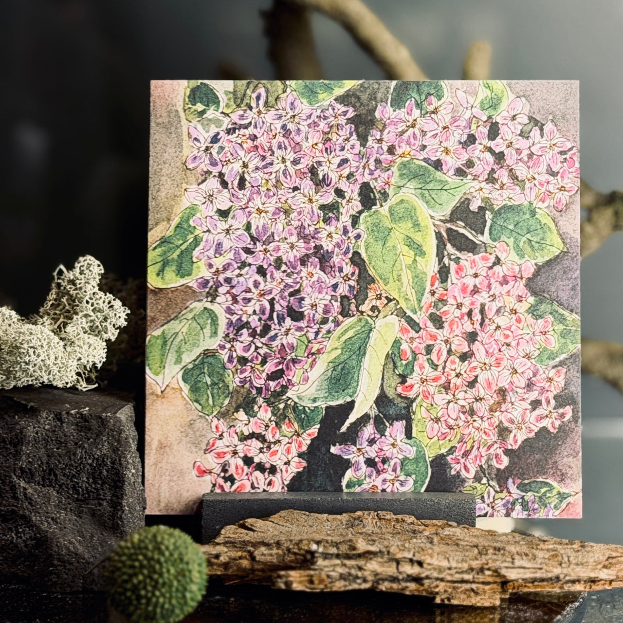 Apsveikuma kartītes ZIEDĒŠANA, atveramas