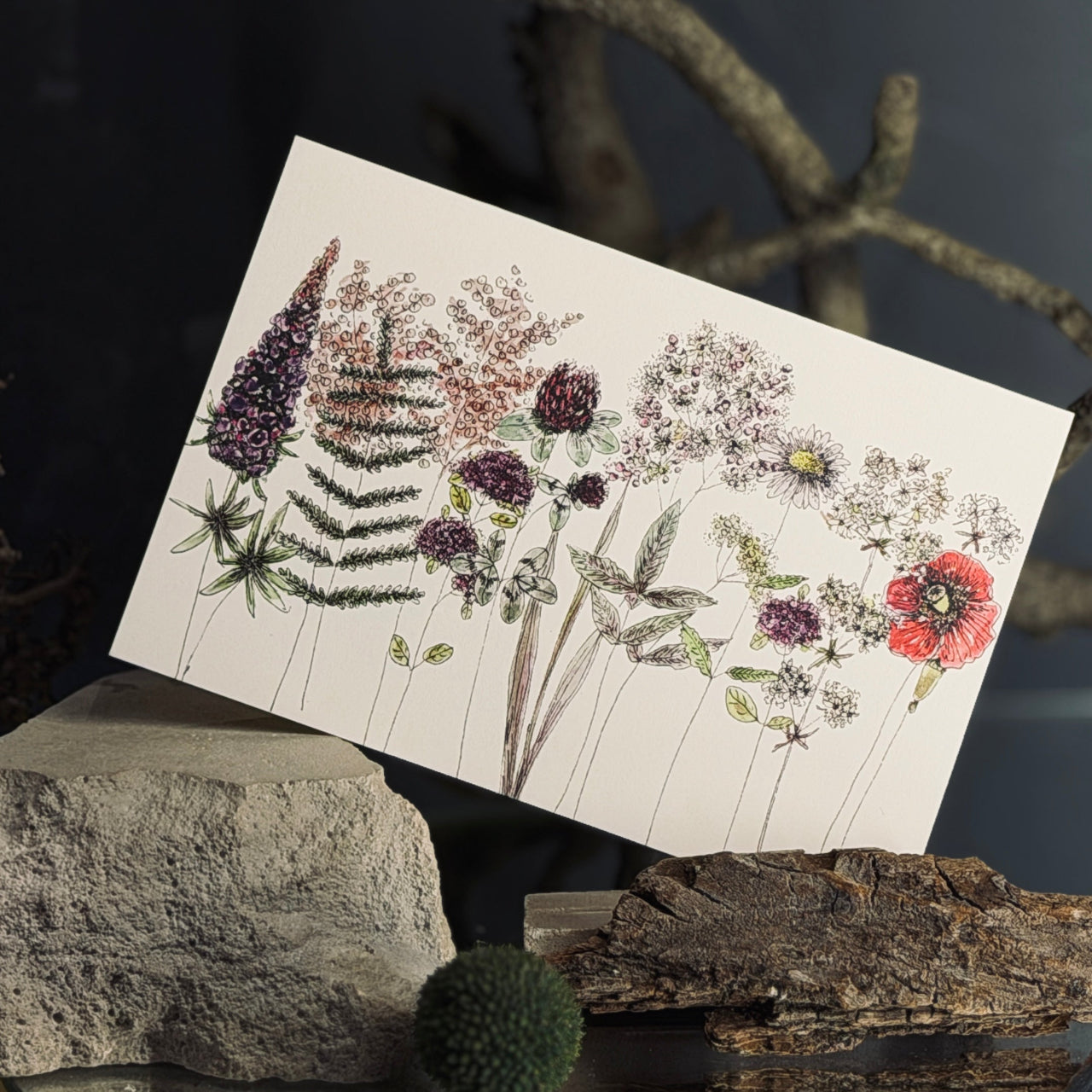 Apsveikuma kartītes ZIEDĒŠANA, atveramas