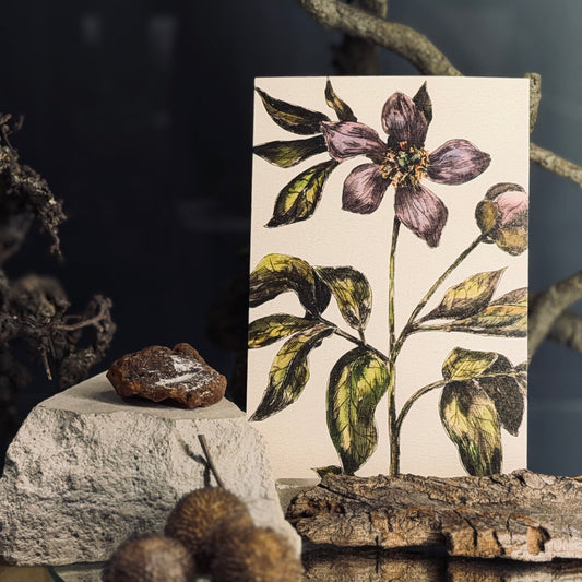 Apsveikuma kartītes ZIEDĒŠANA