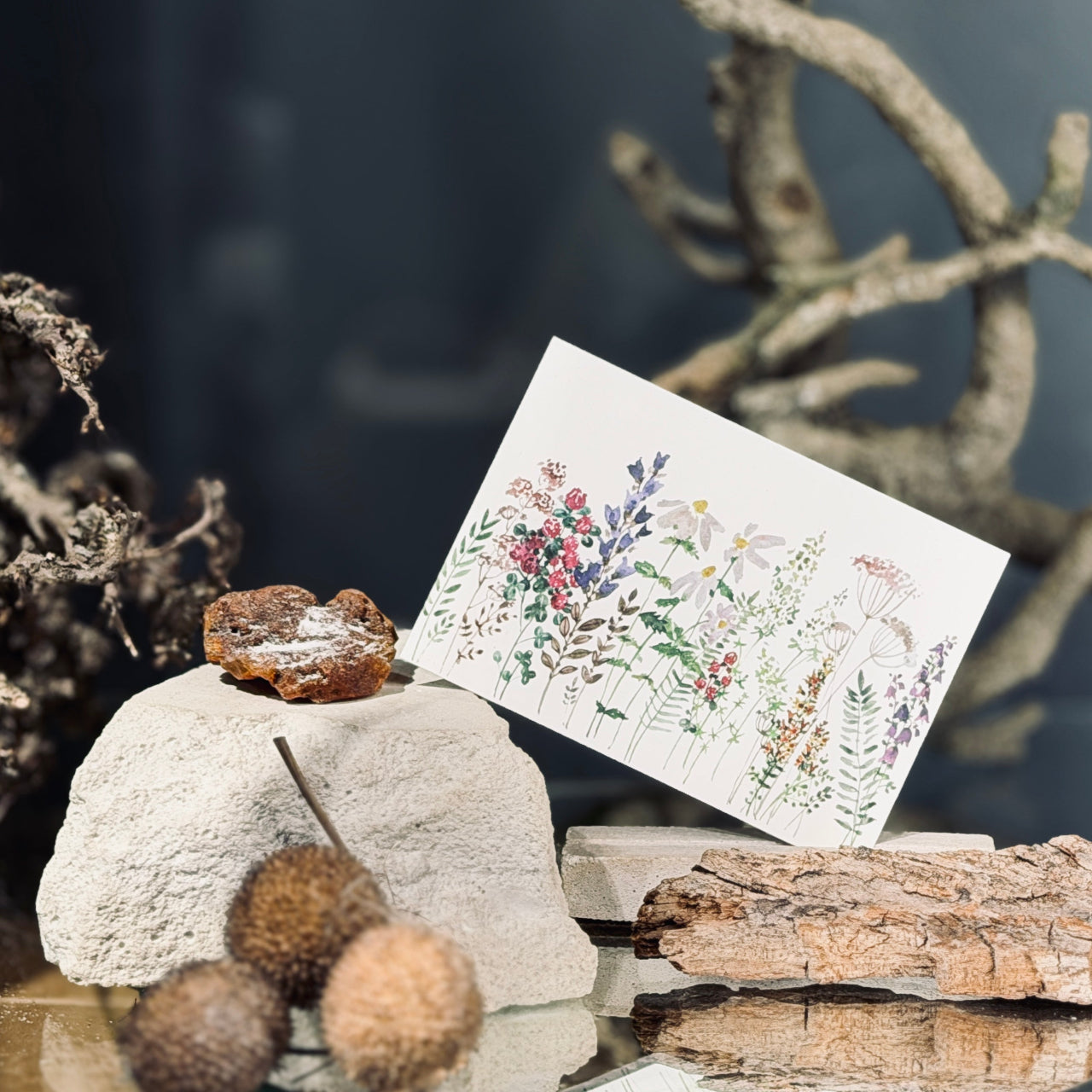 MAZĀS apsveikuma kartītes