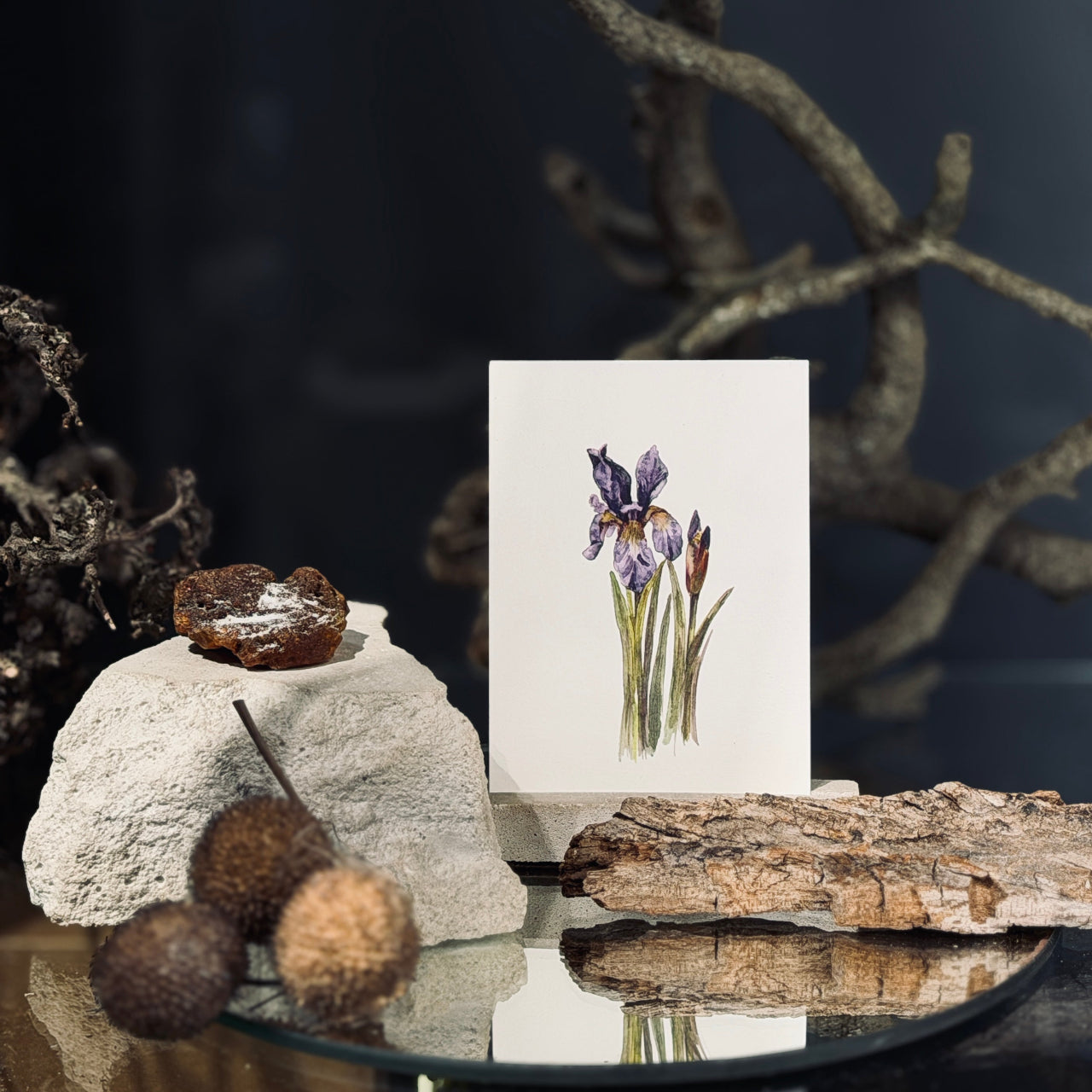 MAZĀS apsveikuma kartītes