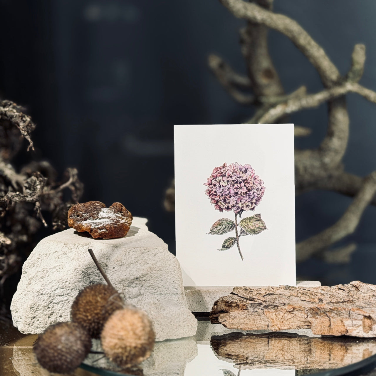 MAZĀS apsveikuma kartītes