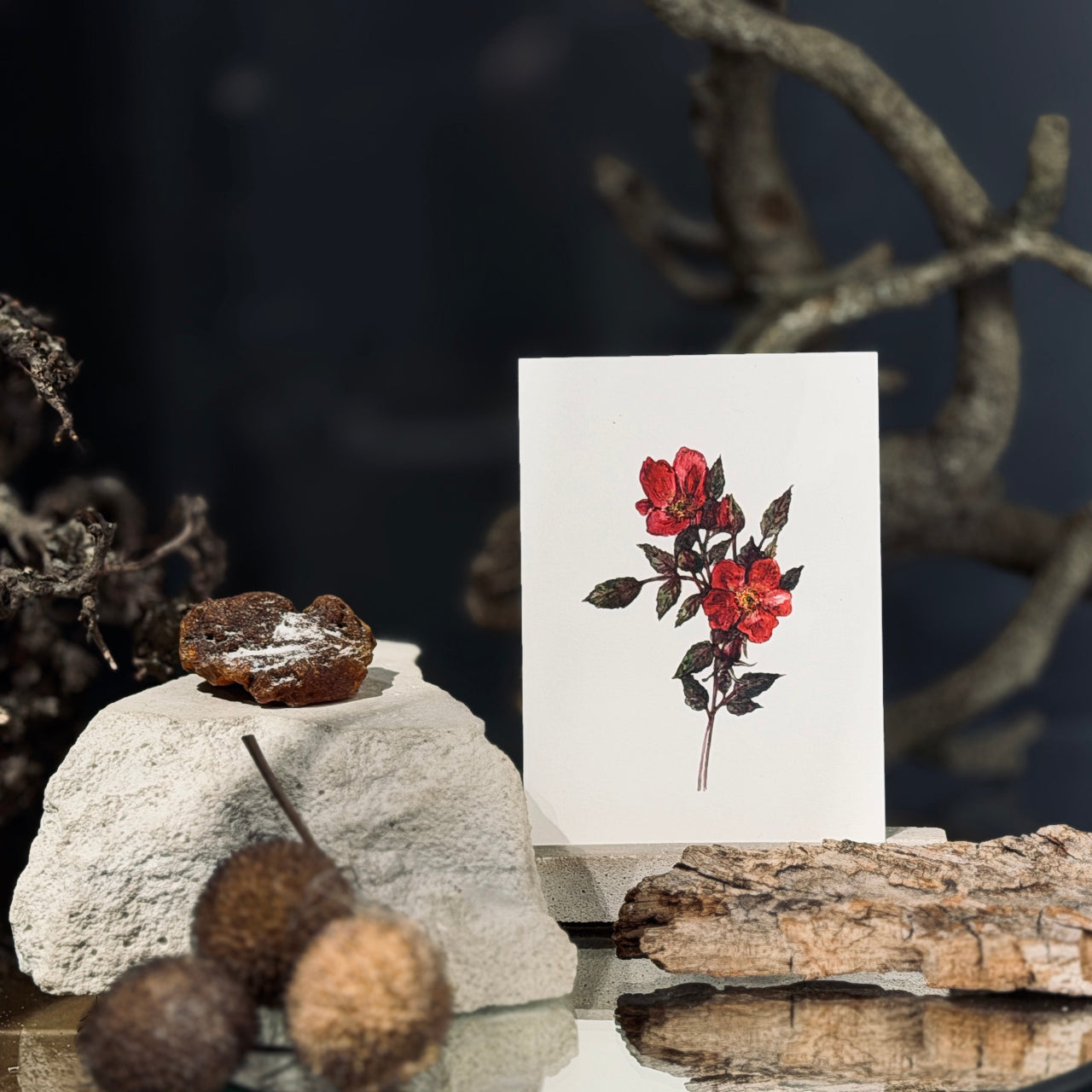 MAZĀS apsveikuma kartītes