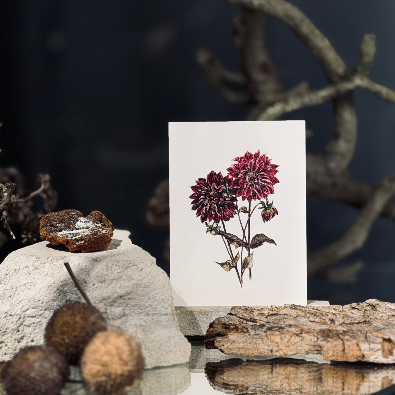 MAZĀS apsveikuma kartītes