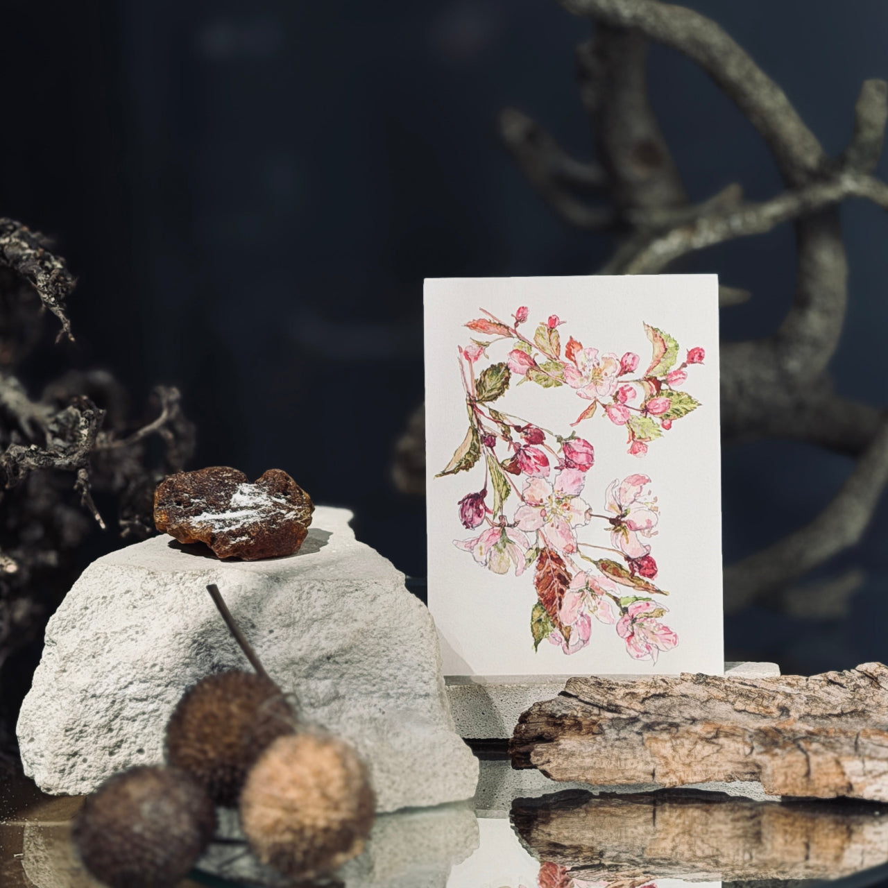 MAZĀS apsveikuma kartītes