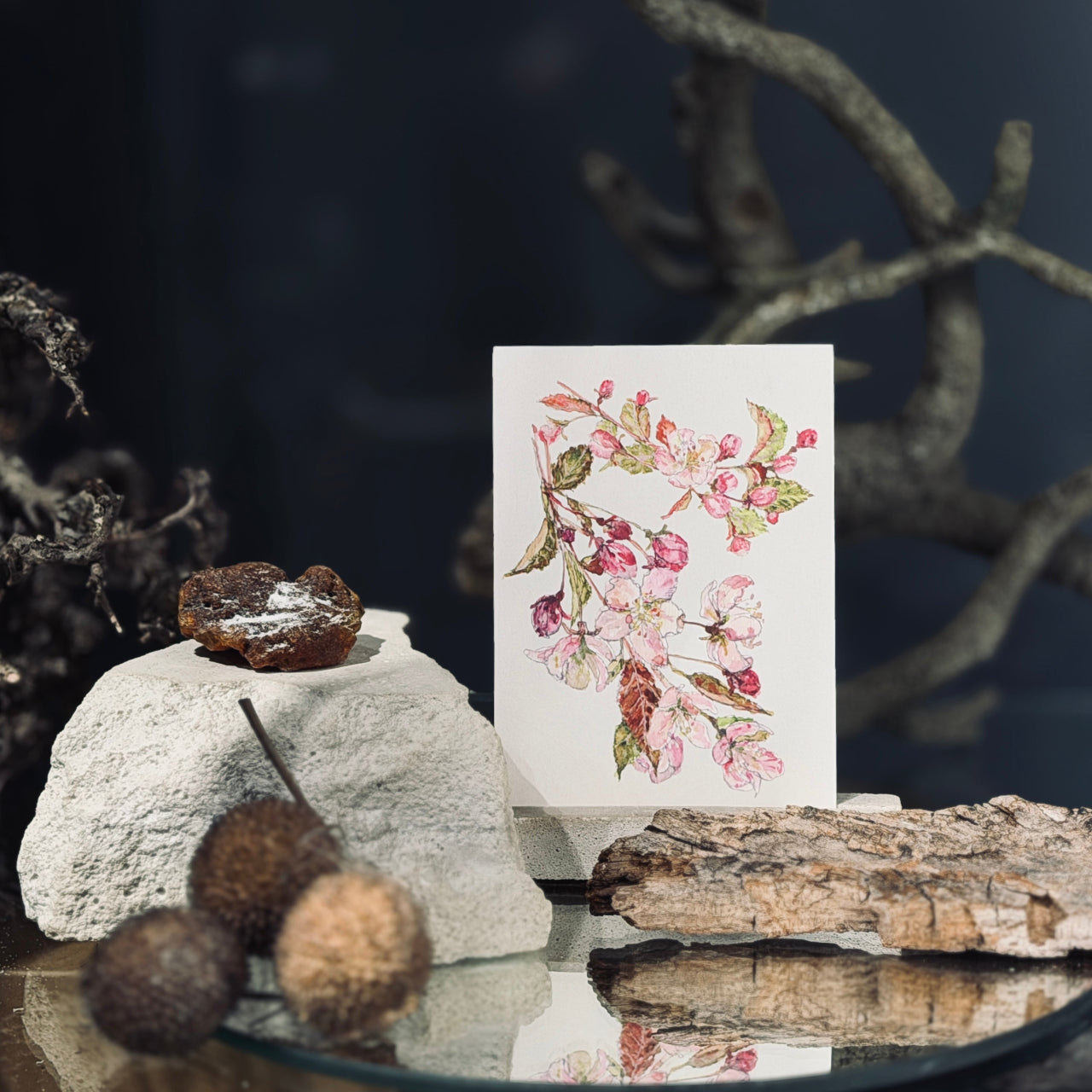 MAZĀS apsveikuma kartītes