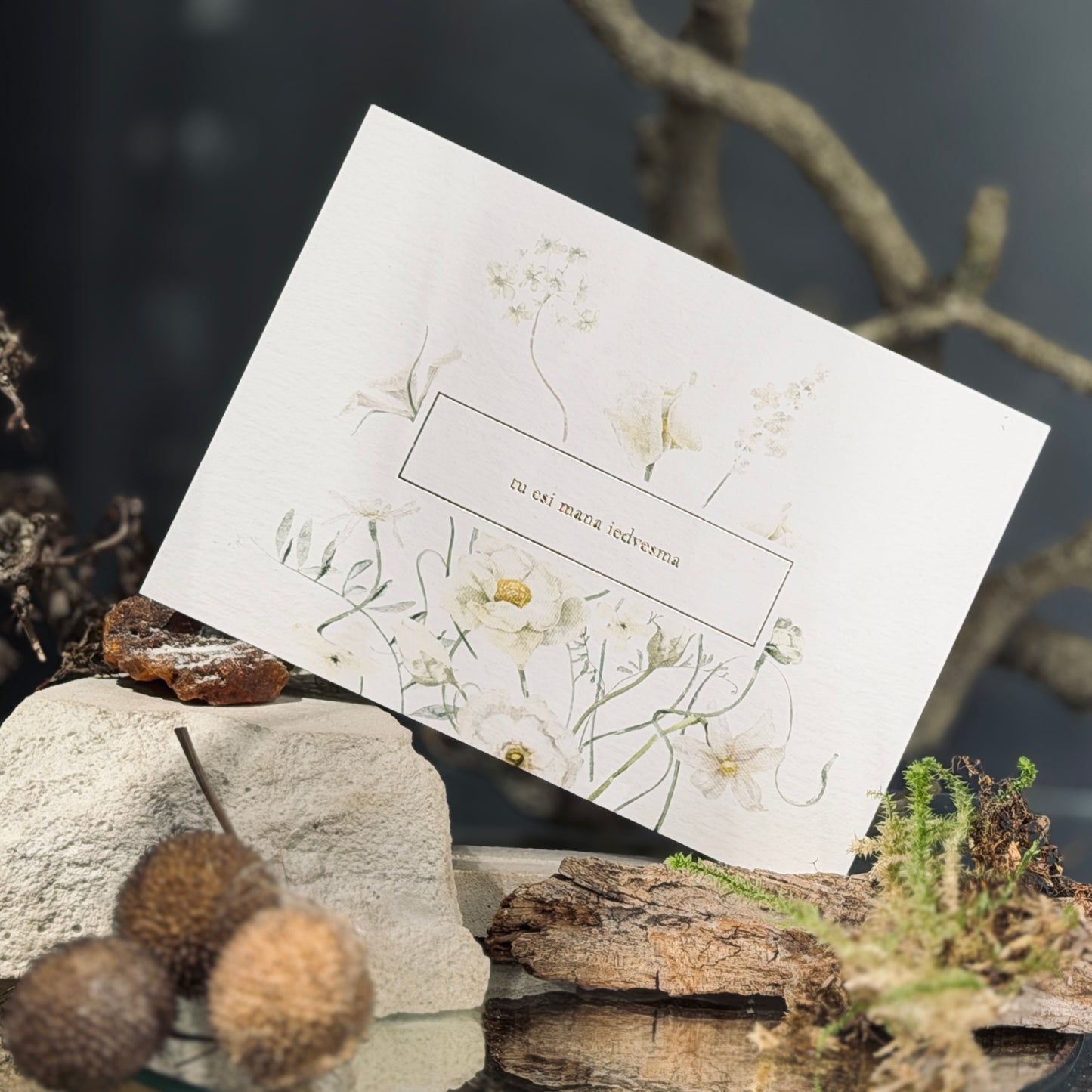 Apsveikuma kartītes APSVEICAM