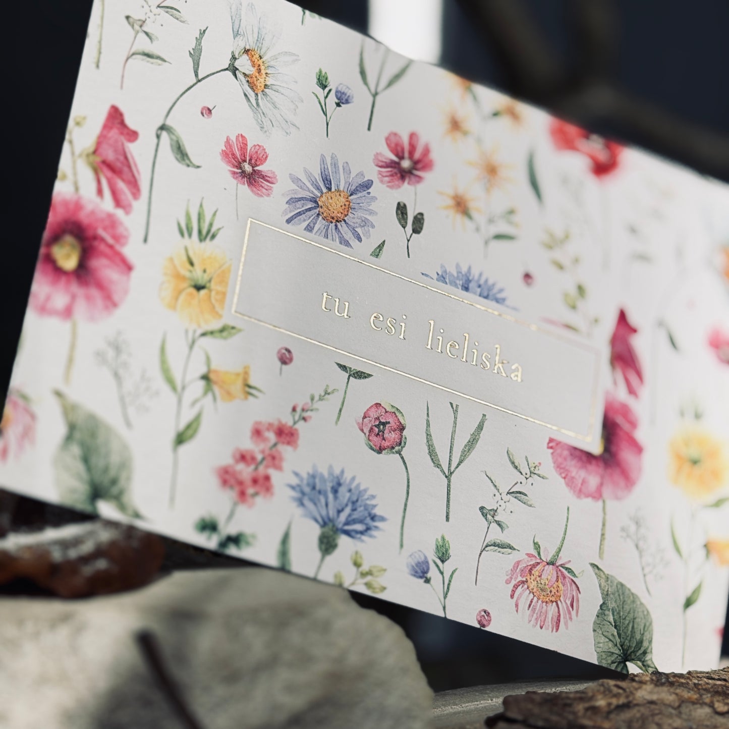 Apsveikuma kartītes APSVEICAM