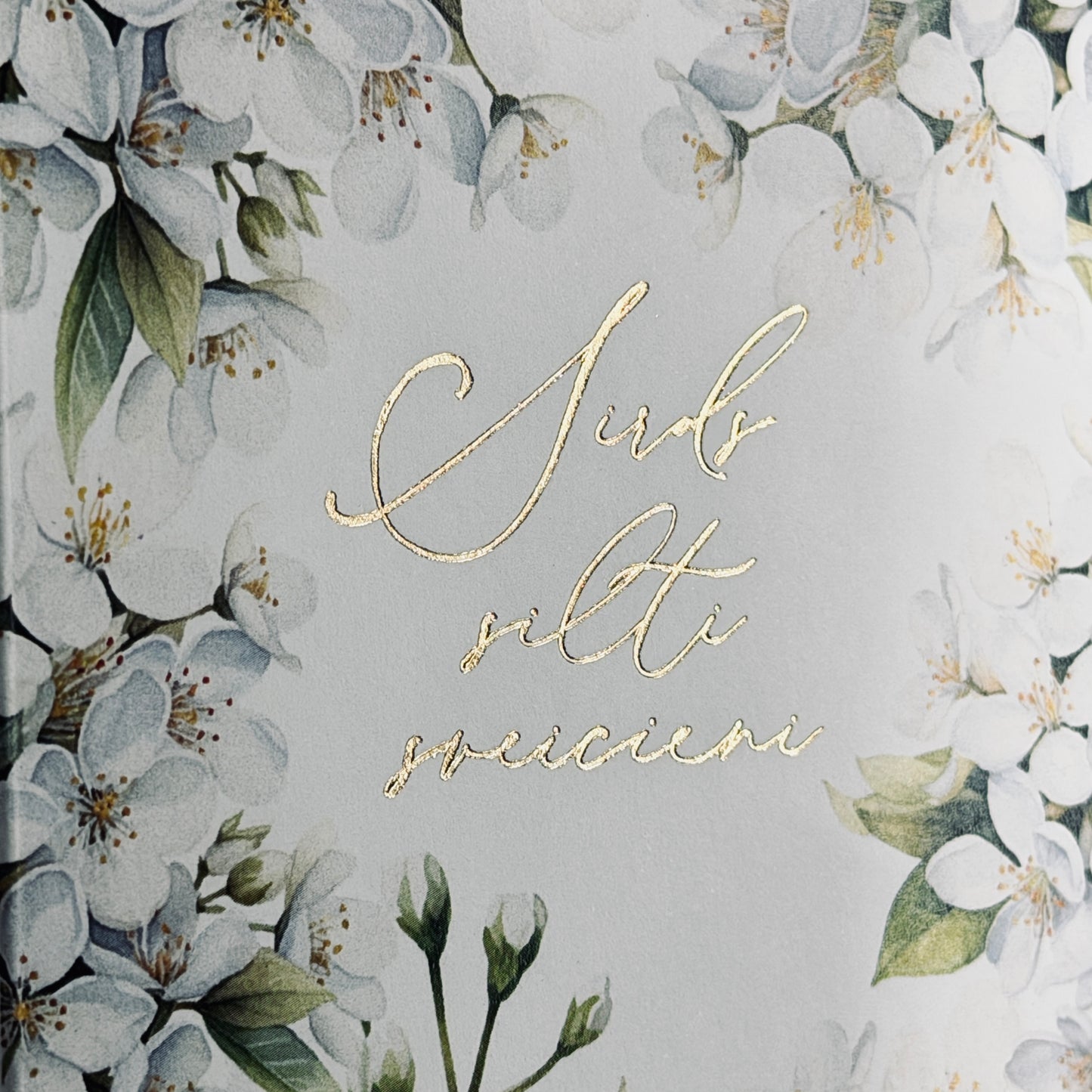 Apsveikuma kartītes APSVEICAM