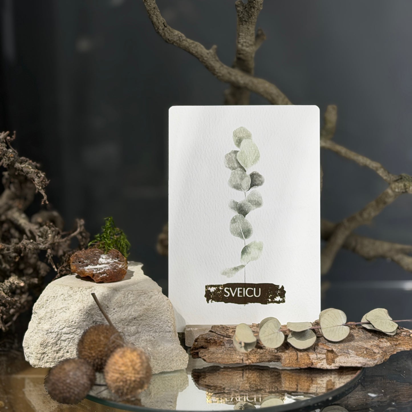 Apsveikuma kartītes APSVEICAM