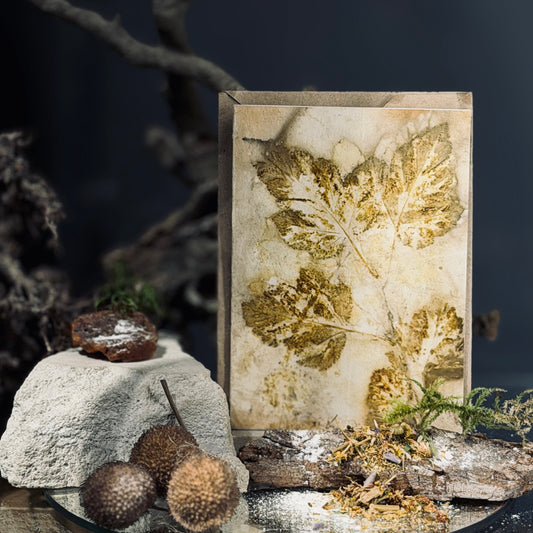 Eko Printa apsveikuma kartītes DABA