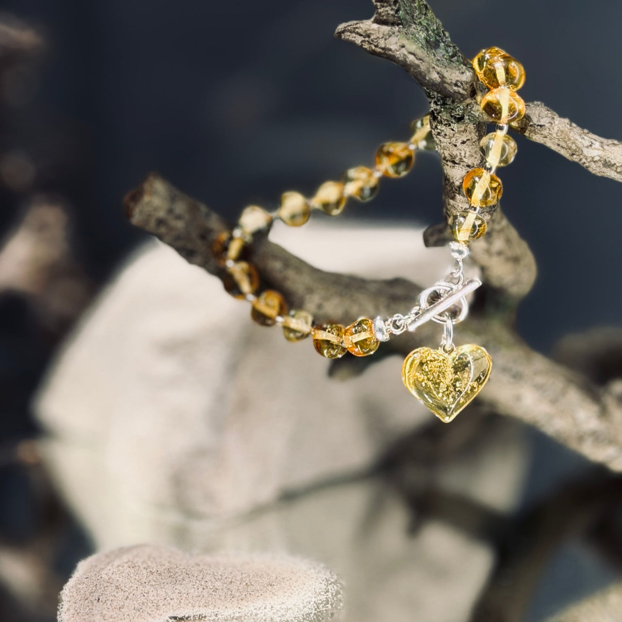 Dzintara aproce DZINTARA SIRDS