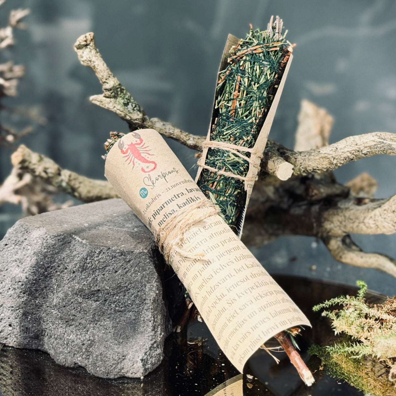 Augu kvēpeklīši HOROSKOPI