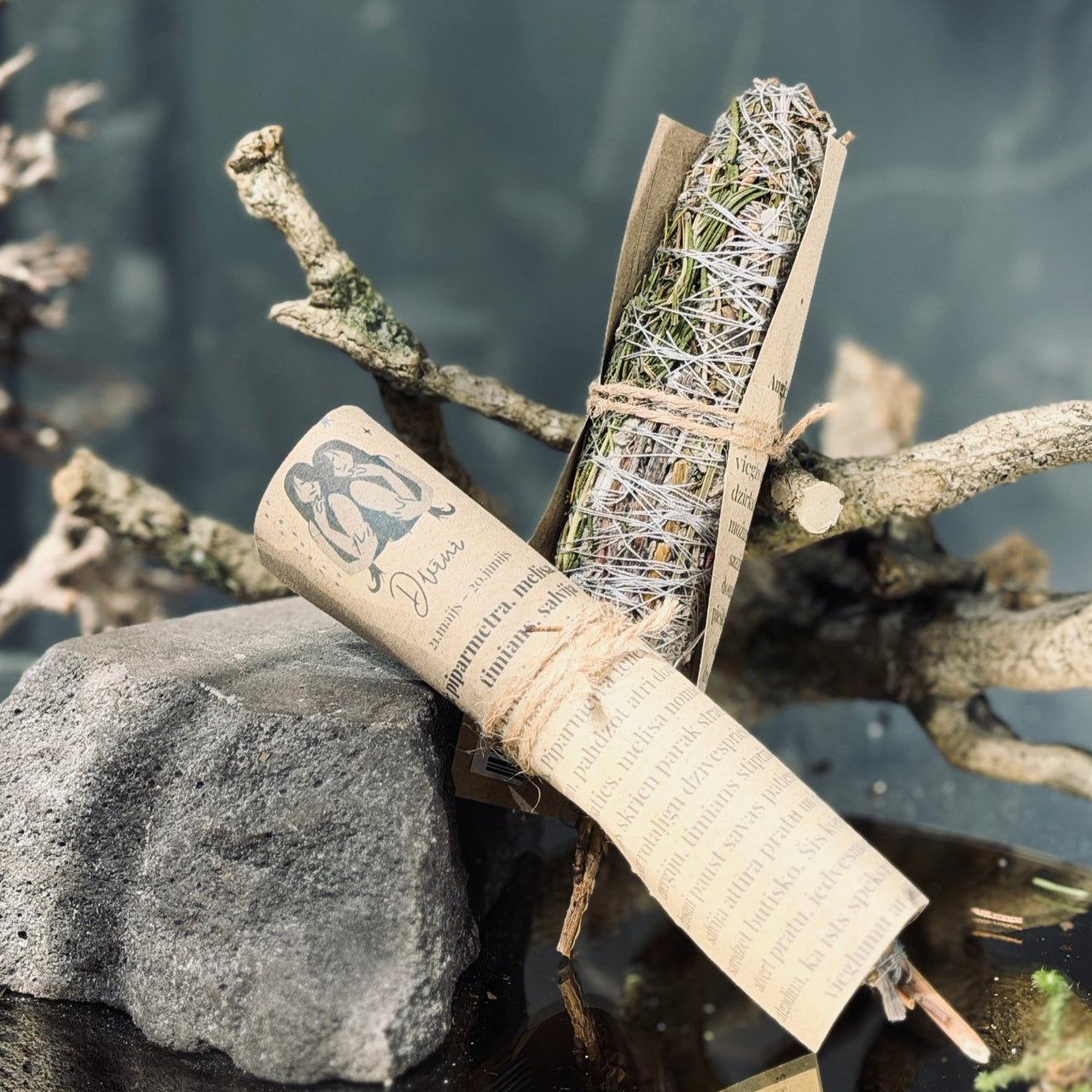 Augu kvēpeklīši HOROSKOPI