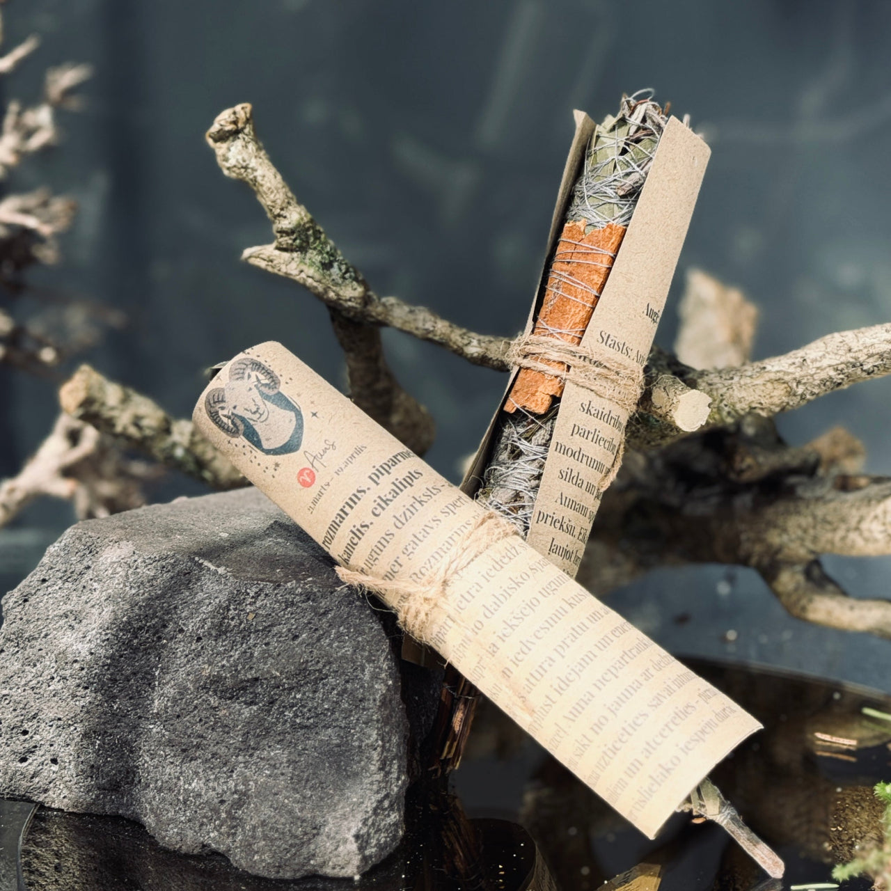 Augu kvēpeklīši HOROSKOPI