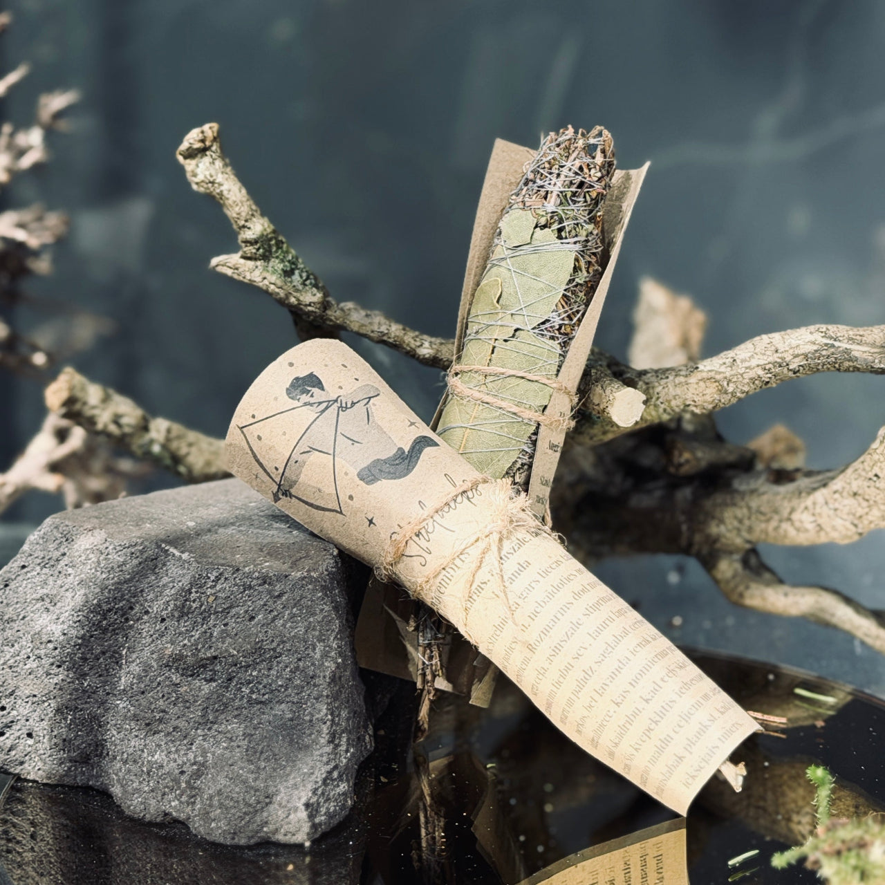 Augu kvēpeklīši HOROSKOPI