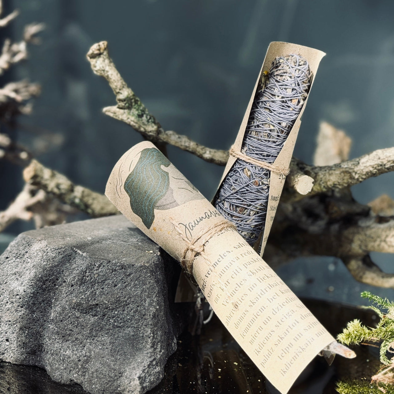 Augu kvēpeklīši HOROSKOPI