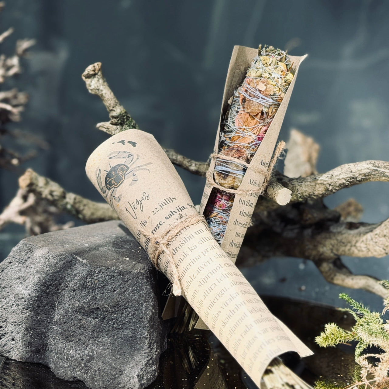 Augu kvēpeklīši HOROSKOPI