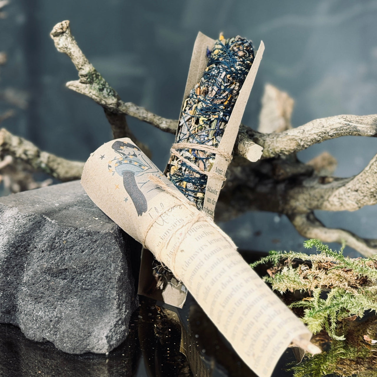 Augu kvēpeklīši HOROSKOPI