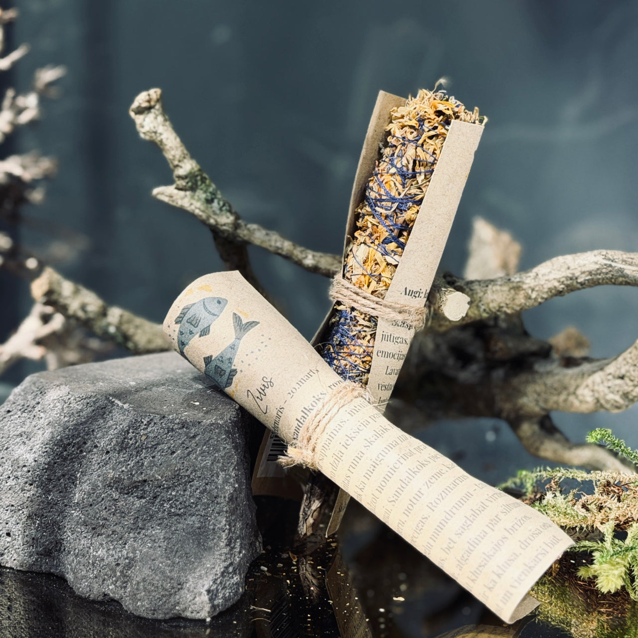 Augu kvēpeklīši HOROSKOPI