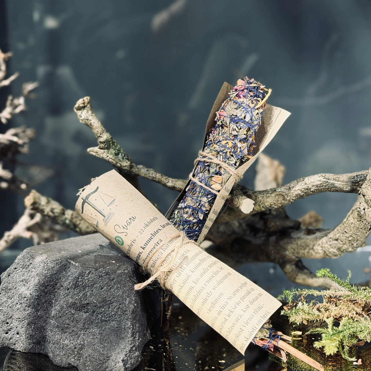 Augu kvēpeklīši HOROSKOPI