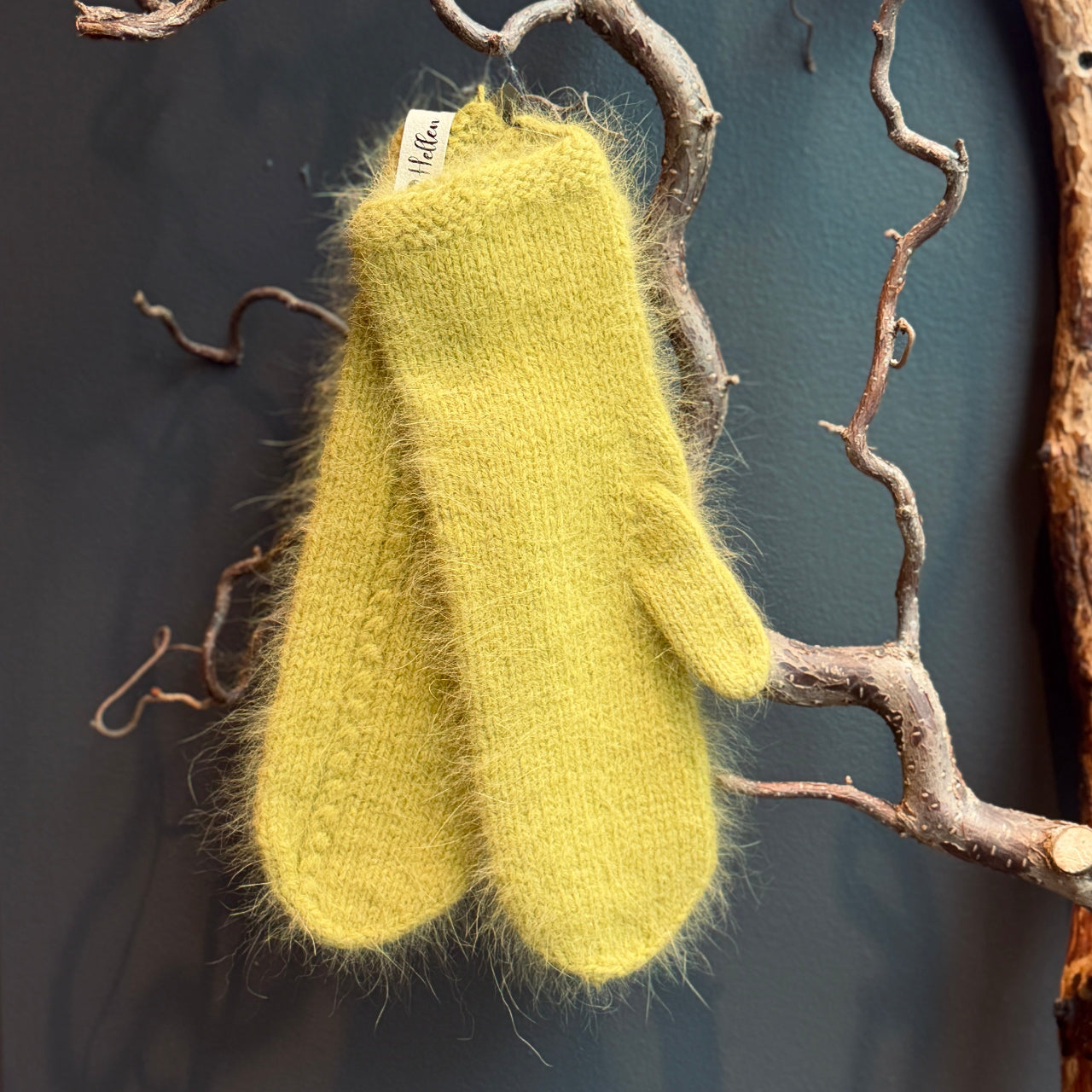 Eleganti dūraiņi ANGORA