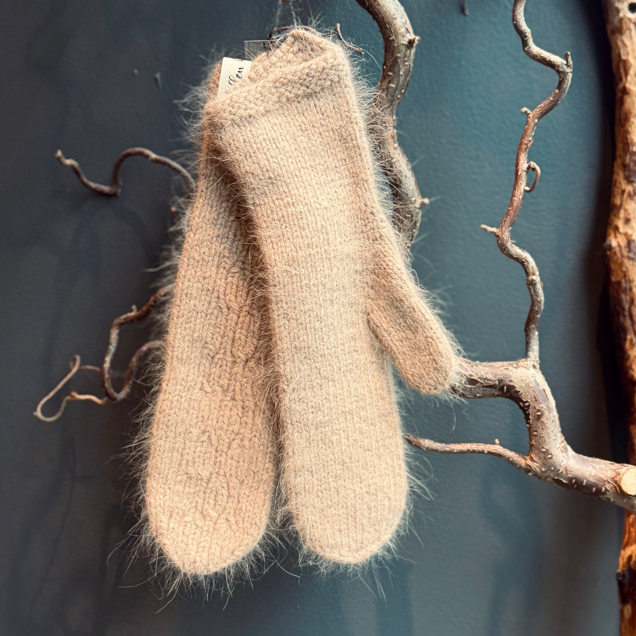 Eleganti dūraiņi ANGORA