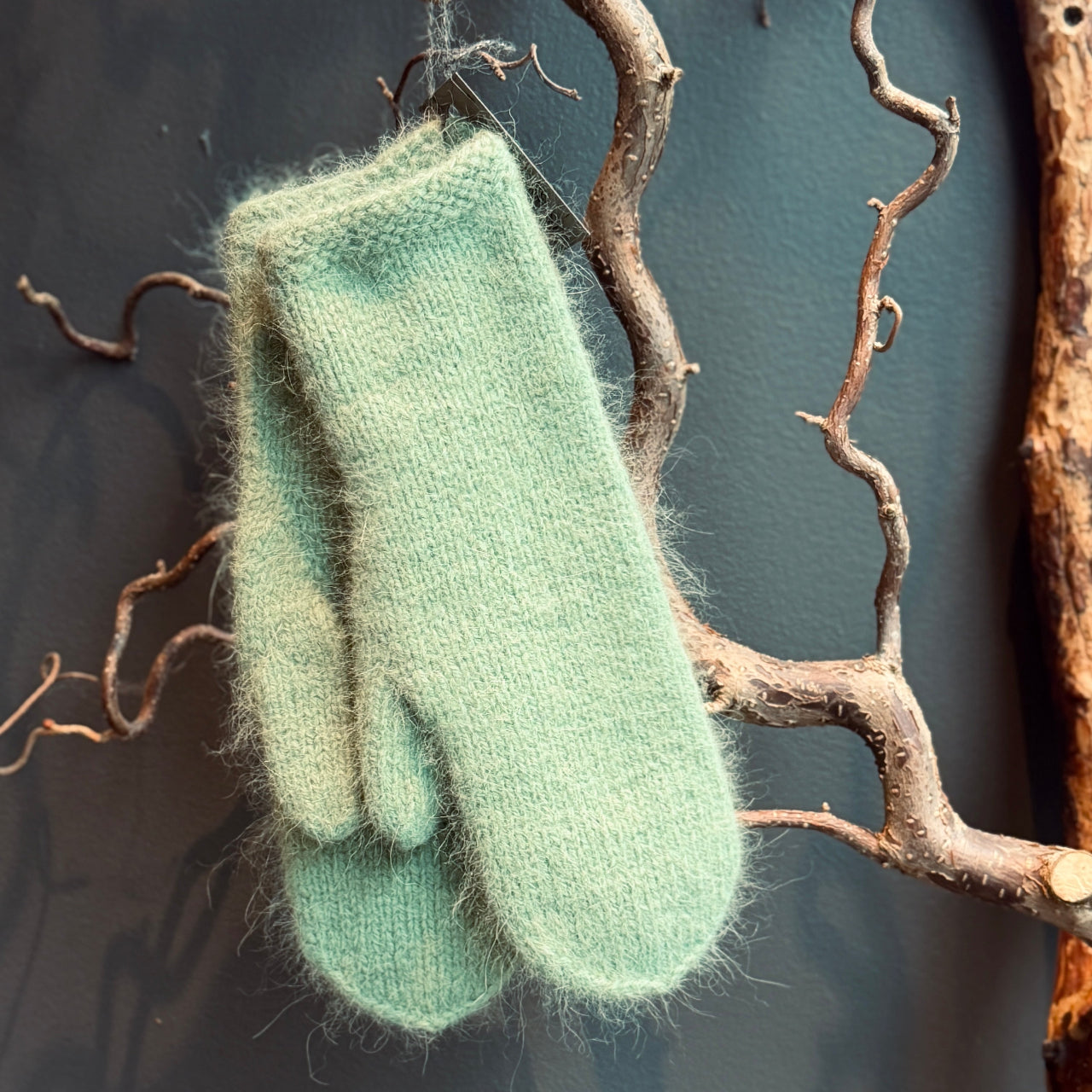 Eleganti dūraiņi ANGORA